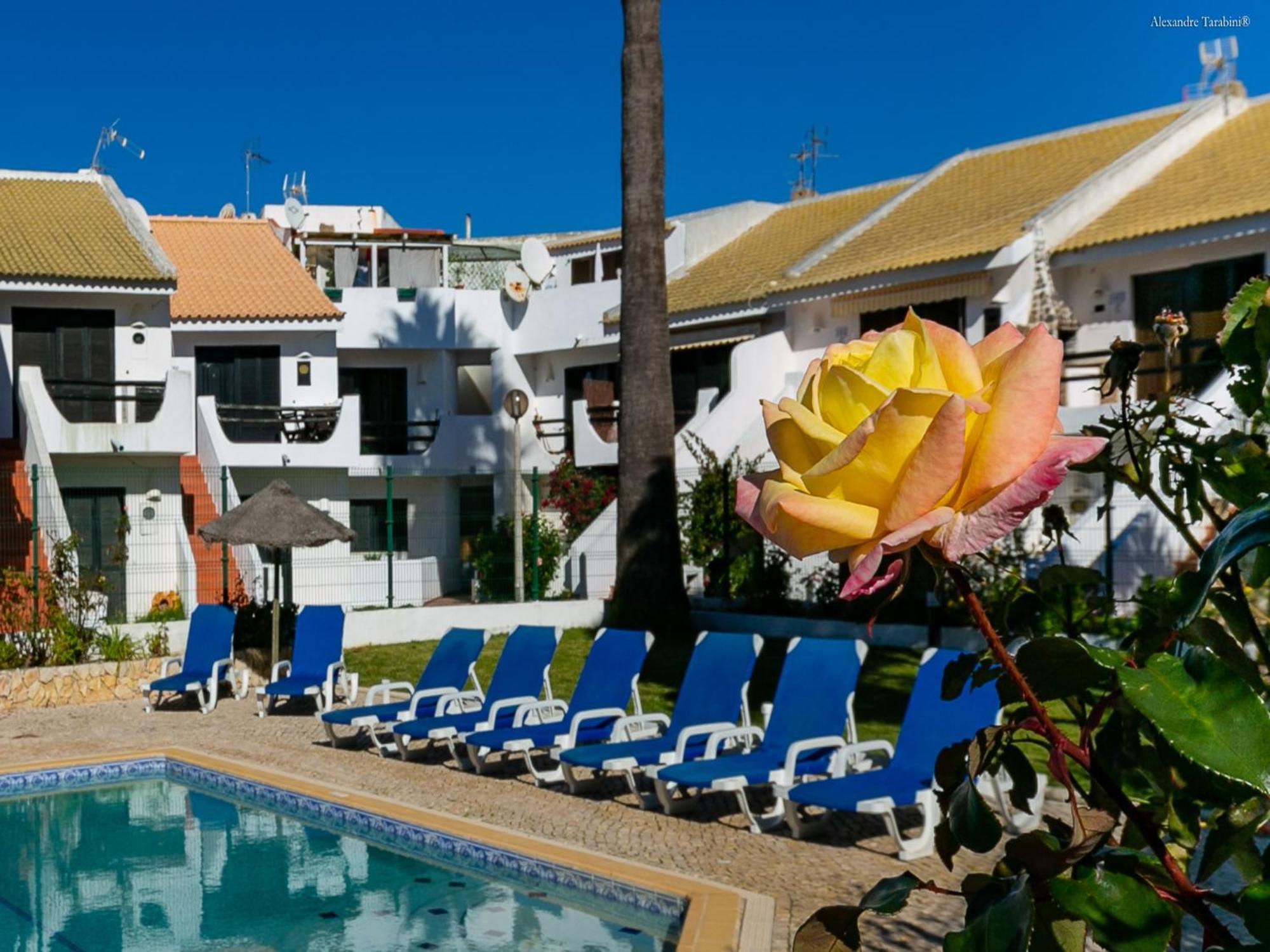 B12 - Pool And Sun Apartment لاغوس المظهر الخارجي الصورة